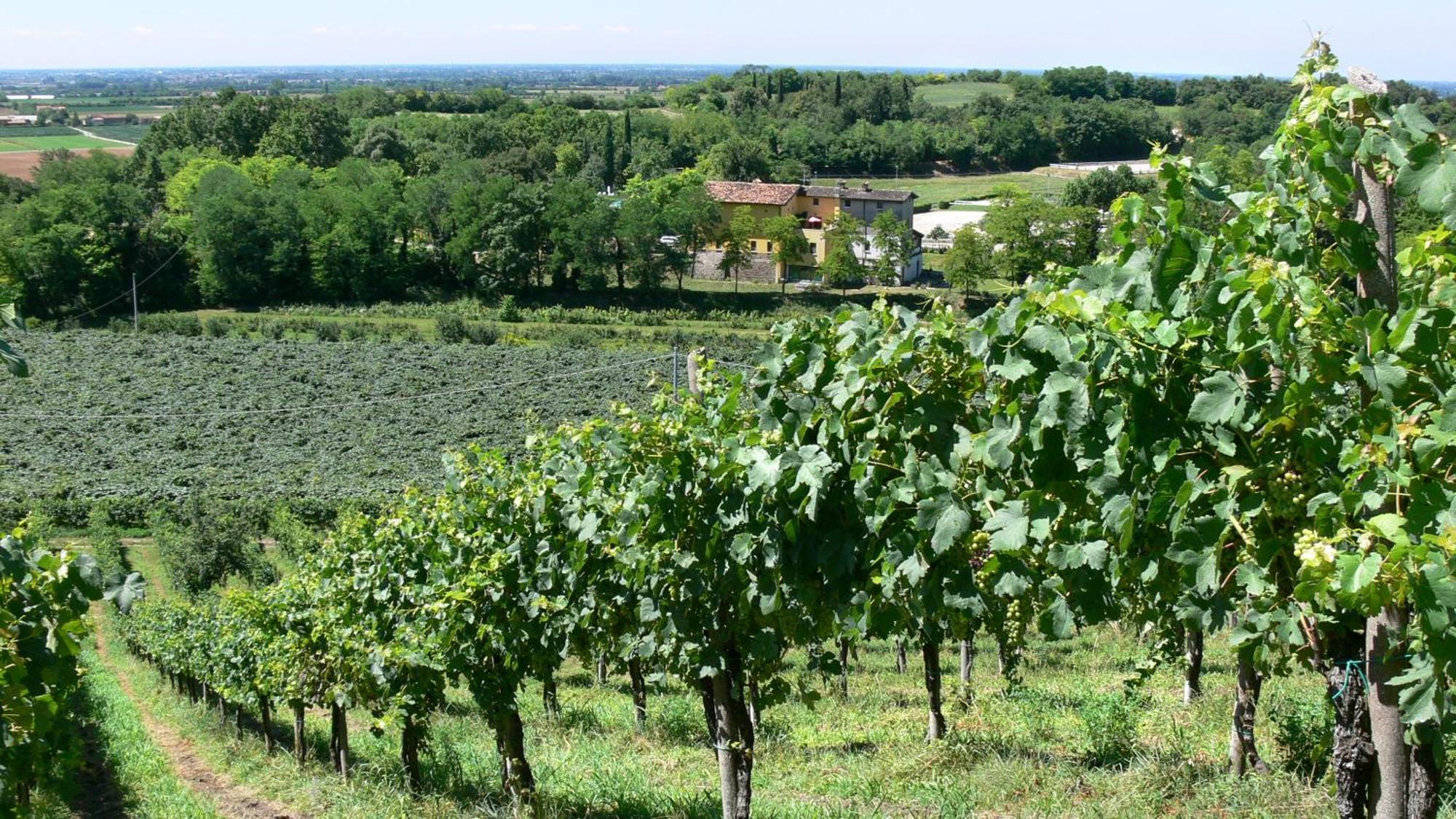 Alloggio per agriturismo Tenuta Le Sorgive *