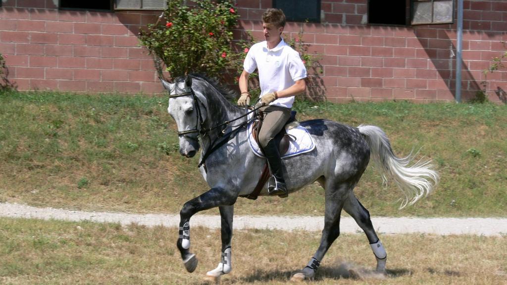 Tenuta Le Sorgive *