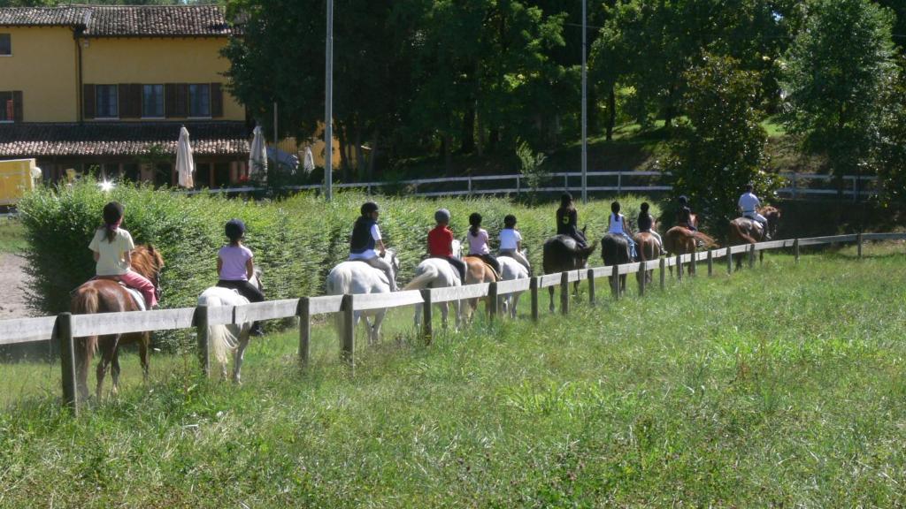 Tenuta Le Sorgive *