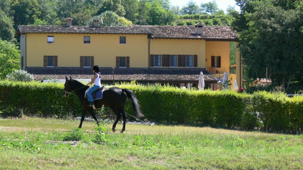 Alloggio per agriturismo Tenuta Le Sorgive Solferino