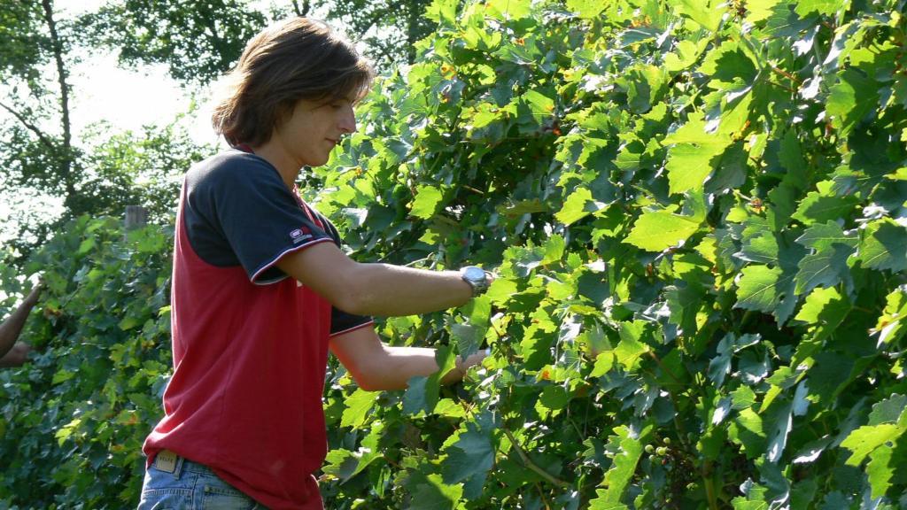 Alloggio per agriturismo Tenuta Le Sorgive